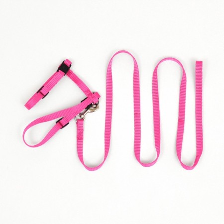 Kit for cats, width 1 cm, Osh 16.5-27 cm, fire 21-35 cm, leash 120 cm, pink-6