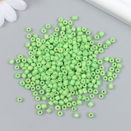 Glass beads 6/0 "green mint" bright 450 g-1