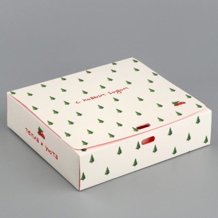 Double -sided folding box “Happy New Year”, 20 x 18 x 5 cm, without tape, New Year-4
