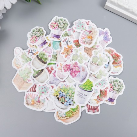 Stickers for creativity "Sukkulents in pots" set of 45 pcs 4.4x4.4x1.1 cm