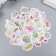 Stickers for creativity "Sukkulents in pots" set of 45 pcs 4.4x4.4x1.1 cm
