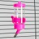 Drill for rodents "Pijon", 80 ml, pink