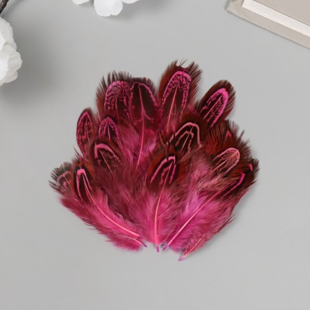 Decorative pheasant feather "Rice. Pink" set 20 pcs h = 5-7 cm