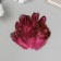Decorative pheasant feather "Rice. Pink" set 20 pcs h = 5-7 cm