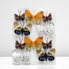A butterfly for decor and floristry, on a clothespin, plastic, mix, 1 pc., 4 cm and 8 cm