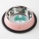 Metal bowl for a cat with a non -slip base Love You, 235 ml, 15x3.5 cm