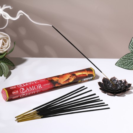 Incense hem "love. Love", 20 sticks in packaging, hexagon