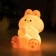 Night "Bunny" LED 2W from 3xlr44 batteries pink 7x9x11 cm Risalux
