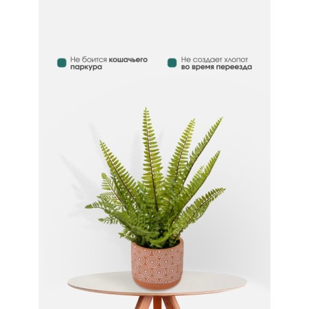 Decorative plant in a ceramic pot "Paporotnik", 12 × 12 × 42 cm-6