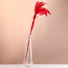 Set of dried flowers 