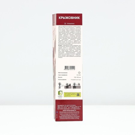 Gooseberry "Vladil", tube, 1 pc, spring 2025-1