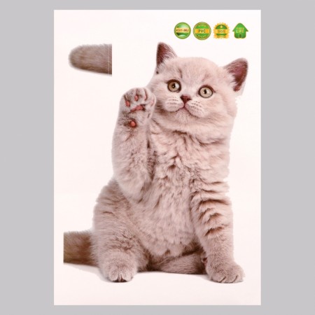 Stick 3D interior cat 29*21cm