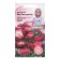 Flowers Margarita "Bom Bom Red", 10 pcs