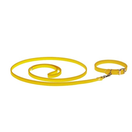 Set of collar (26-34x1.4 cm) and leash (120x1 cm) from eco-leather, yellow-4