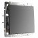 Single -valve passage circuit breaker (matte graphite) W1112064