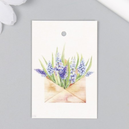 Muscari tag in an envelope 4x6 cm