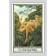 Tarot Druid Kraft. Wartington U.