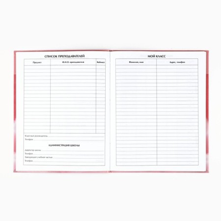 School diary for grade 1-11, in an integrated cover, 40 l. "Cat on the cloud"-1