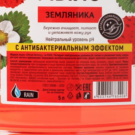 Liquid soap Rain Standart, antibacterial, strawberry, PET, 5 liters-1