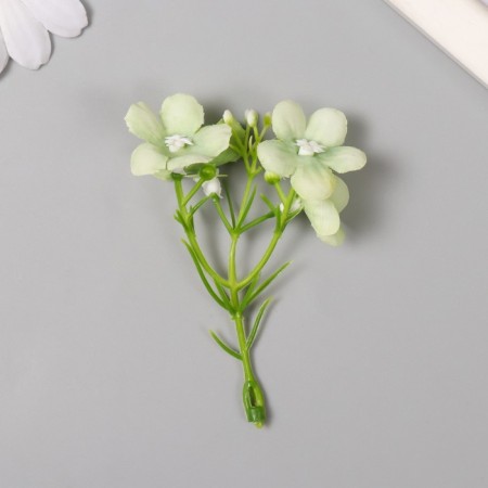 Flowers for decorating "Frig apple" white-green 8 cm