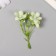 Flowers for decorating "Frig apple" white-green 8 cm