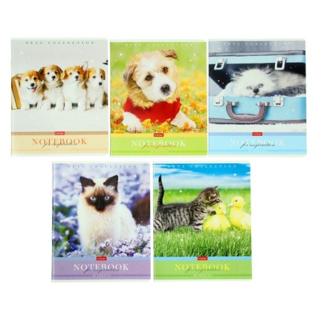 Notebook of 48 sheets in the cage "mustache, paws, tail", covered cardboard, block 65 g/m2, mix