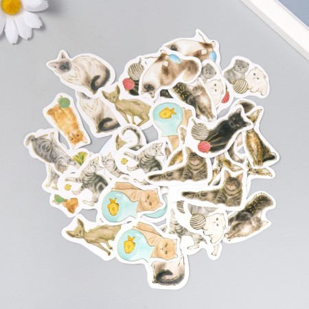 Stickers for the creativity of the "cat breed" embossing gold set 48 pcs 9x7x0.8 cm-1