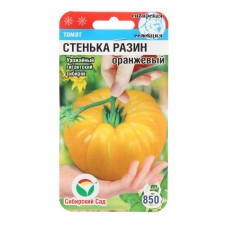 Seed Tomat 