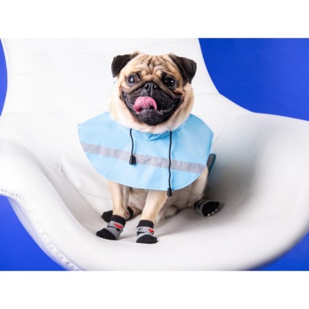Dog raincoat, size XS (DS 15-20, OG 17-22, Osh 13-17 cm), blue