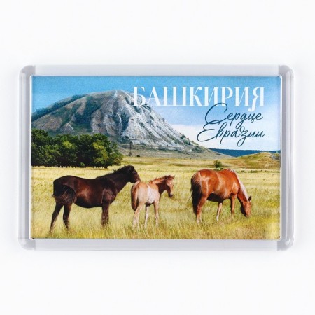 Acrylic magnet "Bashkiria" 5.2 x 7.7 cm-2