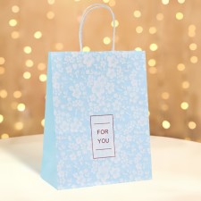 CRAFT package, blue, 
