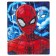 Diamond mosaic, 20 x 25 cm, spider-man