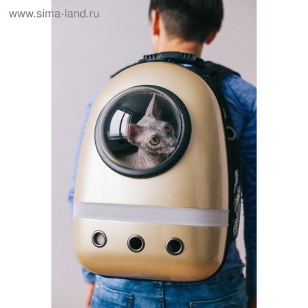 A backpack for carrying with a window for a review and a reflective strip, 32x26x44 cm, golden-12
