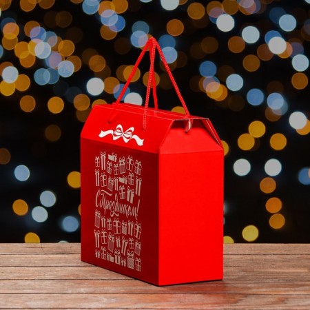 Gift Basic Basic "Basic" 23 x 10 x 22 cm-1