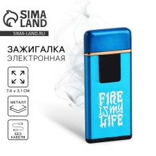 Electronic lighter 