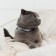 A collar for dogs and cats with Fasteks "Neon", 30 x 1 cm