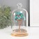 Souvenir "Cash tree in a flask with a handle" turquoise 36 stones 8.2x8.2x13 cm