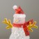 Night Snowman LED 1W RGB 3HLR44 Transparent 8x8x10cm Risalux