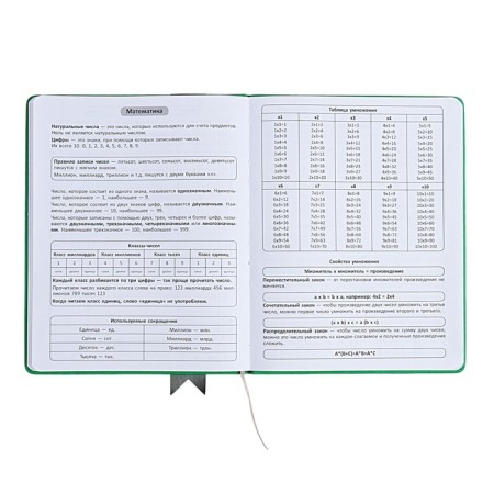 Universal diary for grades 1-11 Lenta, solid cover of artificial leather, applique, silkography, liesse, 48 sheets, green-7