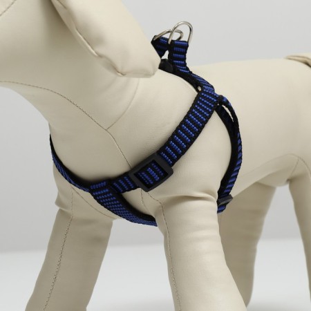 Relief harness 36-49 x 1.5 cm, blue-hourly-1