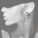 Earrings with pearls "circles" on the ring, white color in silver