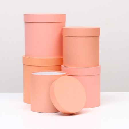 Set of round boxes 5 in 1 "paints", peach, 25 x 25 x 25 - 19 x 19 x 19 cm-7