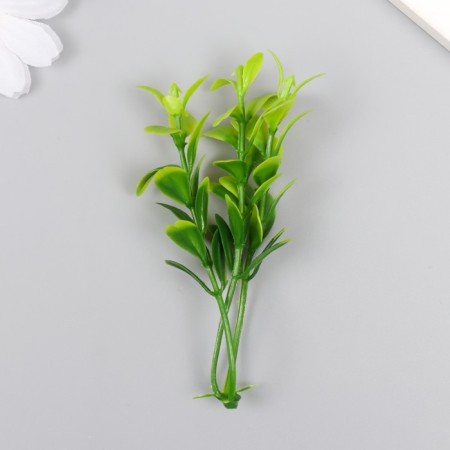 Artificial plant for creativity "A twig with eucalyptus leaves" set of 12 pcs 8.5 cm-1