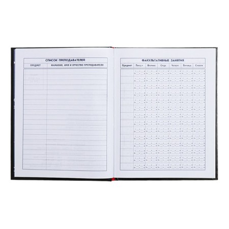 Diary for grades 5-11, 48 sheets "many cats", solid cover, glossy lamination, foil embossing, universal cheat sheet, block 65g/m2-5