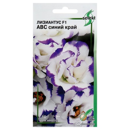Flowers Lizianthus F1 Eustoma ABC Blue Territory 5 pcs