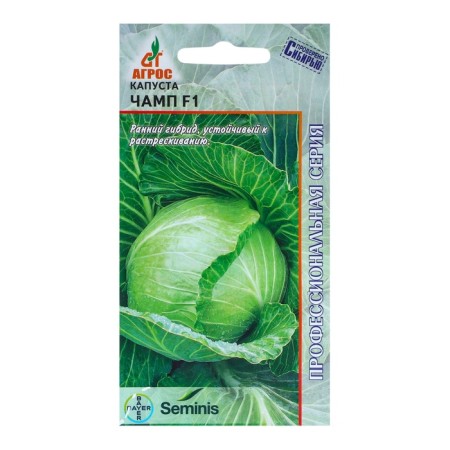Cabbage Cabbage seeds "Champs" F1 15pcs* Seminis