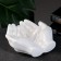 Candy Candy "Pands" mother of pearl, 15x16x7cm