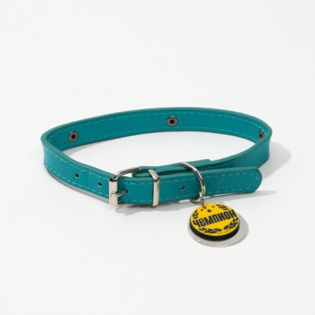 Dog collar "Champion" with an addressee, Osh 27-34 cm-1
