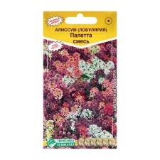 Flower seeds Alissum 