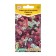 Flower seeds Alissum "Paletta" mixture, 0.05 g